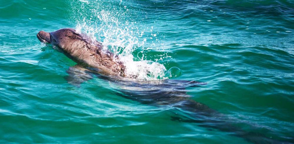 La réserve de biosphère Sian Ka'an La réserve de biosphère Sian Ka'an