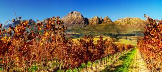 Le Cap & Route Jardin version Charme