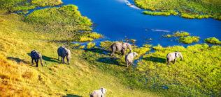 Le Botswana Authentique