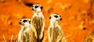 Initiation Namibienne