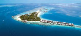 Coco Bodu Hithi