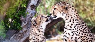 Les grands parcs du nord version charme