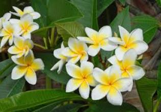 La Réunion : Accueil personnalisé