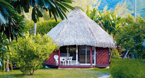 Les Tipaniers : Hébergement