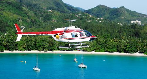 Comme l’oiseau… Comme l’oiseau…