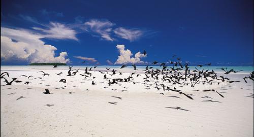 Découverte de Tikehau