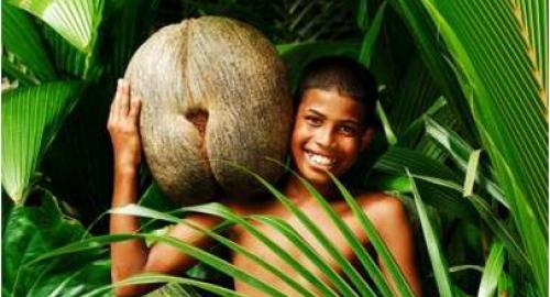 Seychelles : La nature préservée