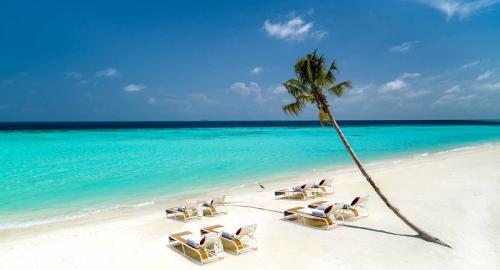 Jumeirah Maldives Olhahali Island : Activités / Loisirs