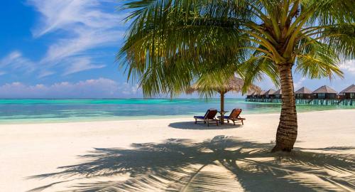 Sun Siyam Olhuveli : Activités / Loisirs