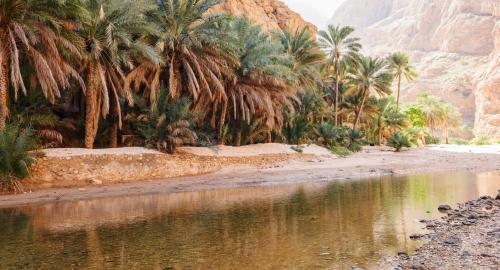 Désert et Wadi Désert et Wadi