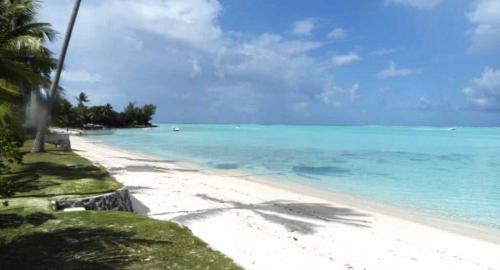 Hôtel Matira : Activités / Loisirs