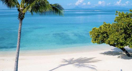 Maitai Lapita Village : Activités / Loisirs