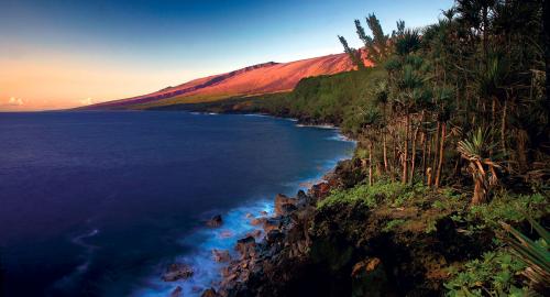 Le sud sauvage : entre mer et volcan Le sud sauvage : entre mer et volcan