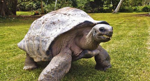 Frégate Island Private : Activités / Loisirs